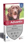 Advantix Grand Chien Spot On 25-40 Kg 4 pipettes